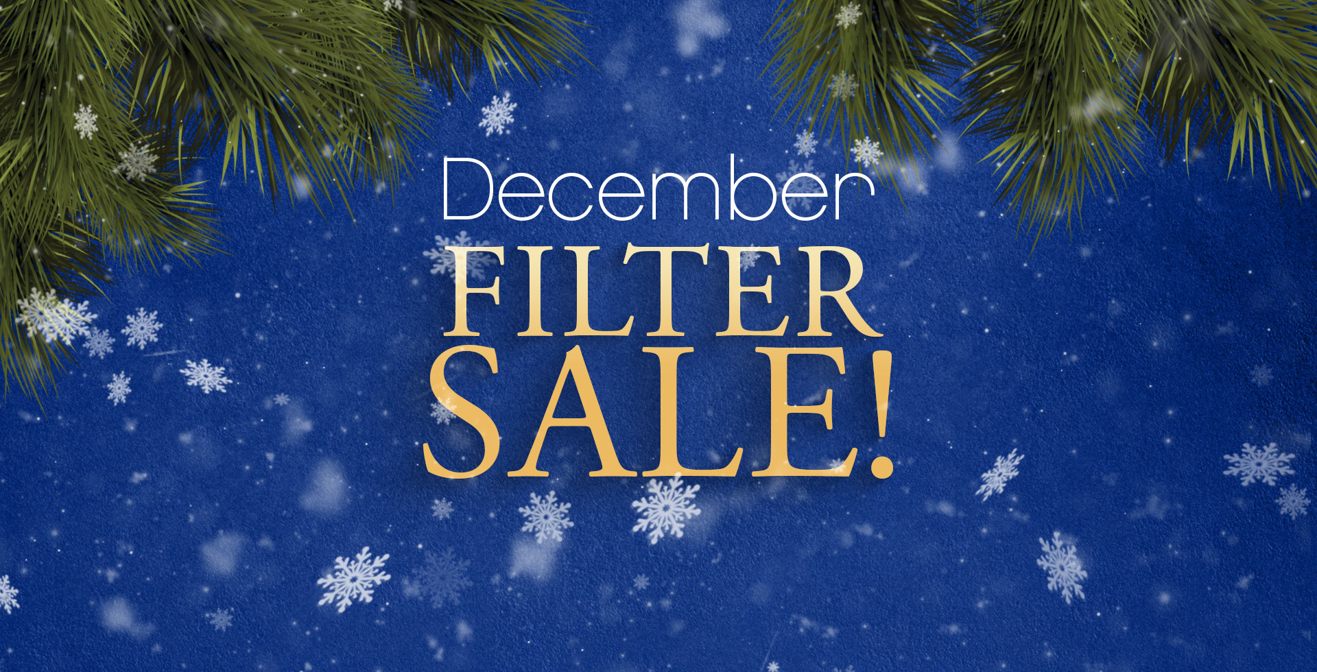 December Filter Sale