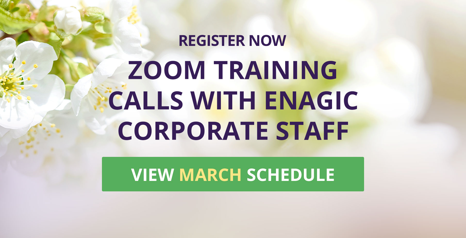 Zoom Calls