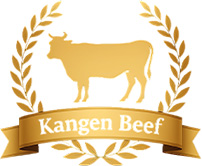 enagic kangen wagyu beef