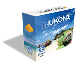 Ukon